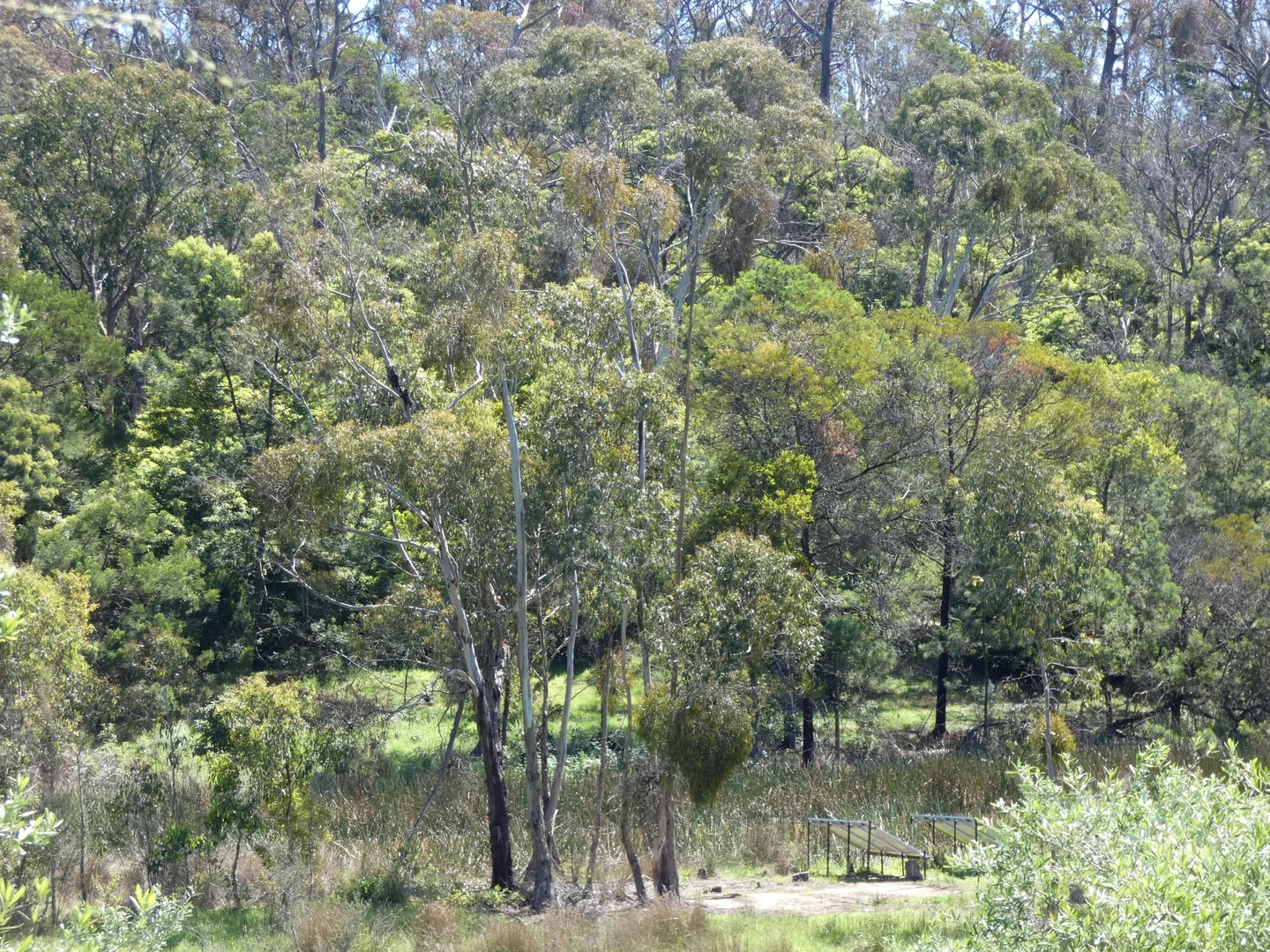 Additional image 26 of 21 Gruyere Road, Gruyere VIC 3770