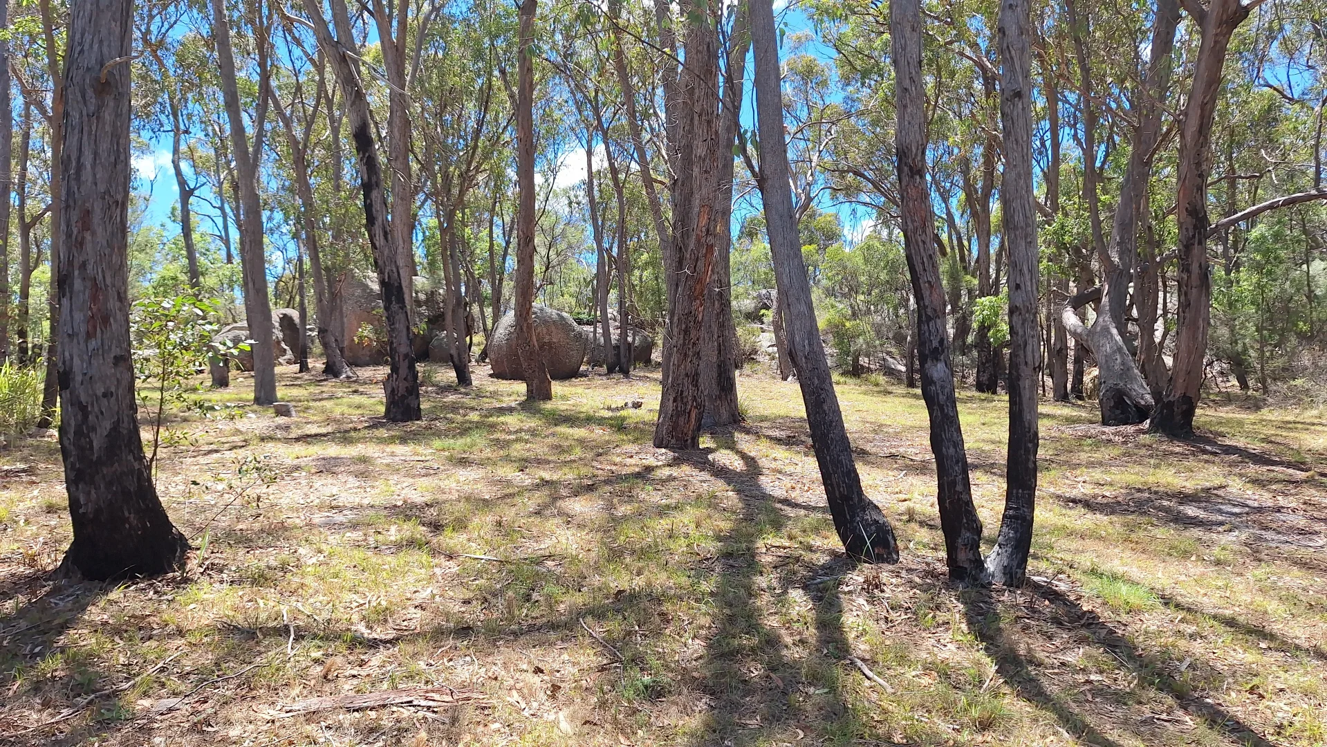 Additional image 18 of 113 Minuti Lane, Amiens QLD 4380