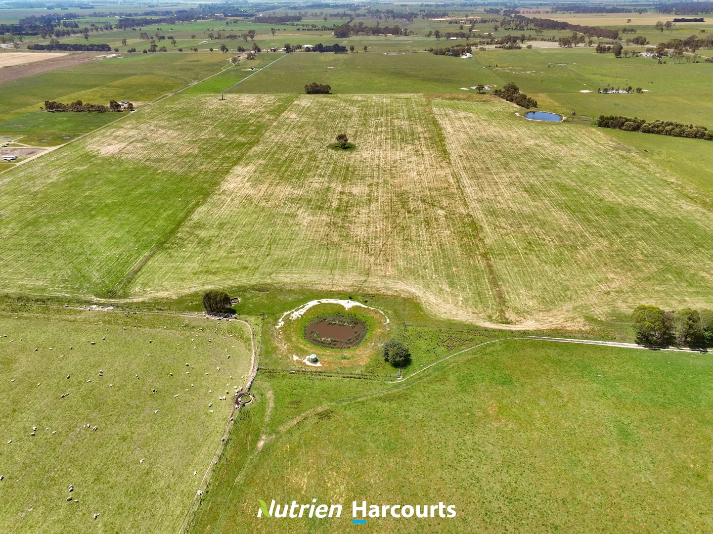 Additional image 11 of 480 Toongabbie-Cowwarr Road, Cowwarr VIC 3857