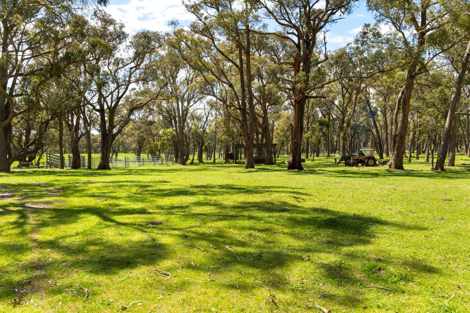 Additional image 8 of Napoleons VIC 3352