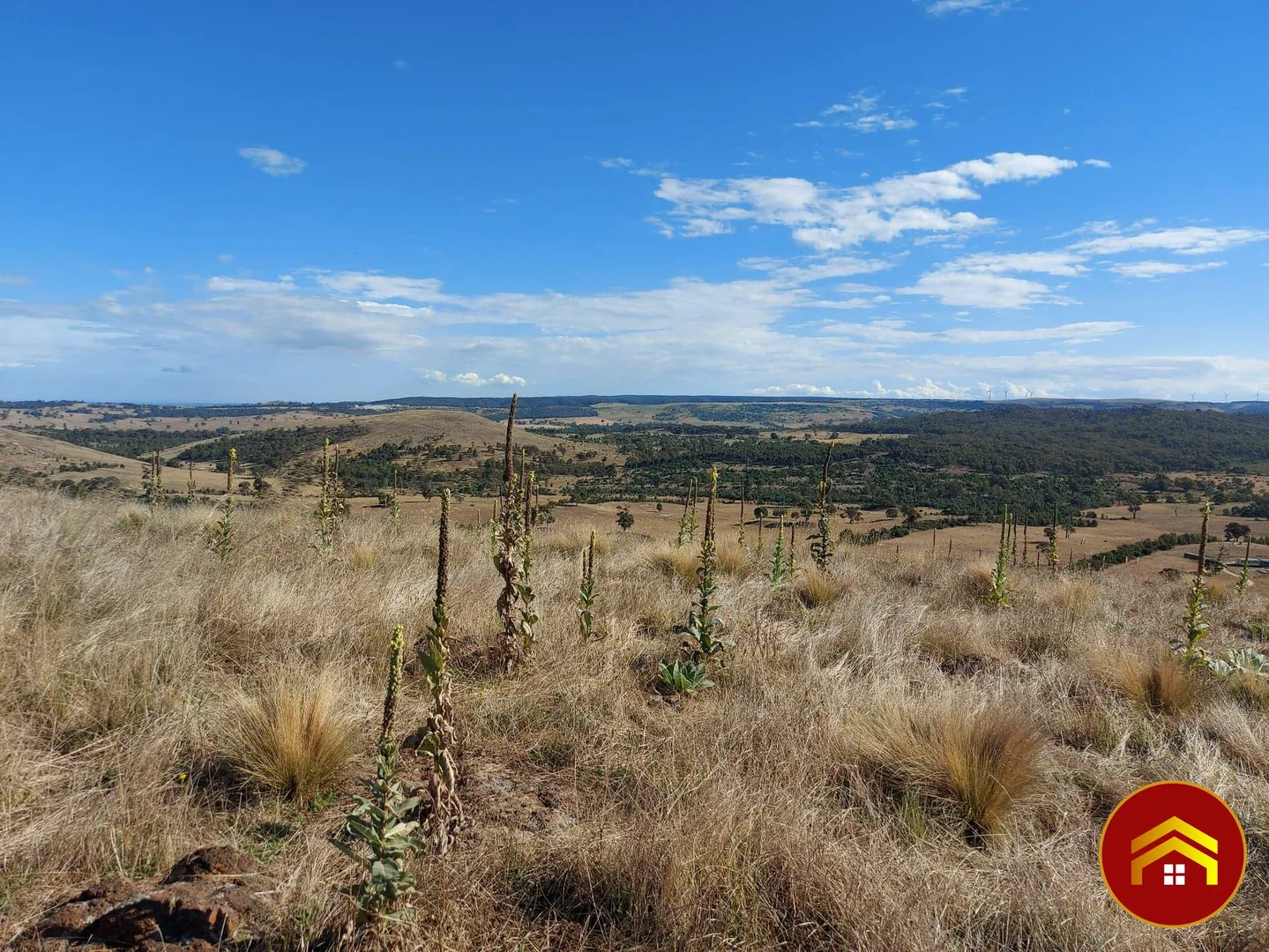 Additional image 3 of 463 Ironbark Road, Ingliston VIC 3342