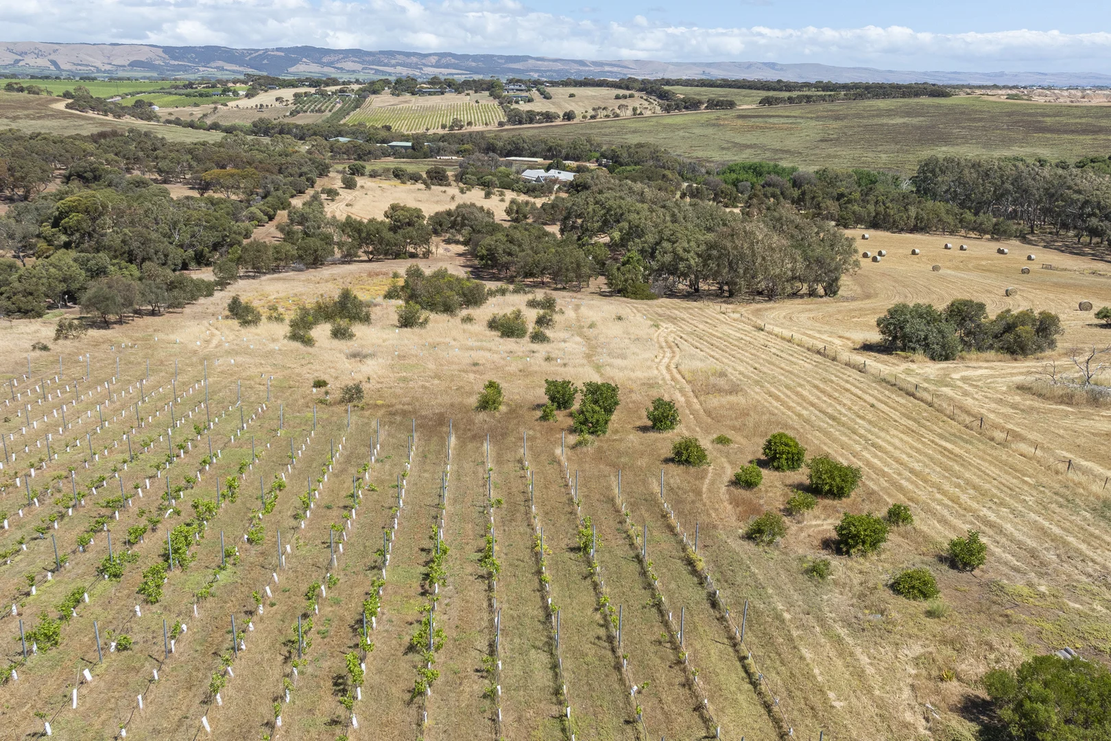 Additional image 7 of 8 Oleander Road, Maslin Beach SA 5170