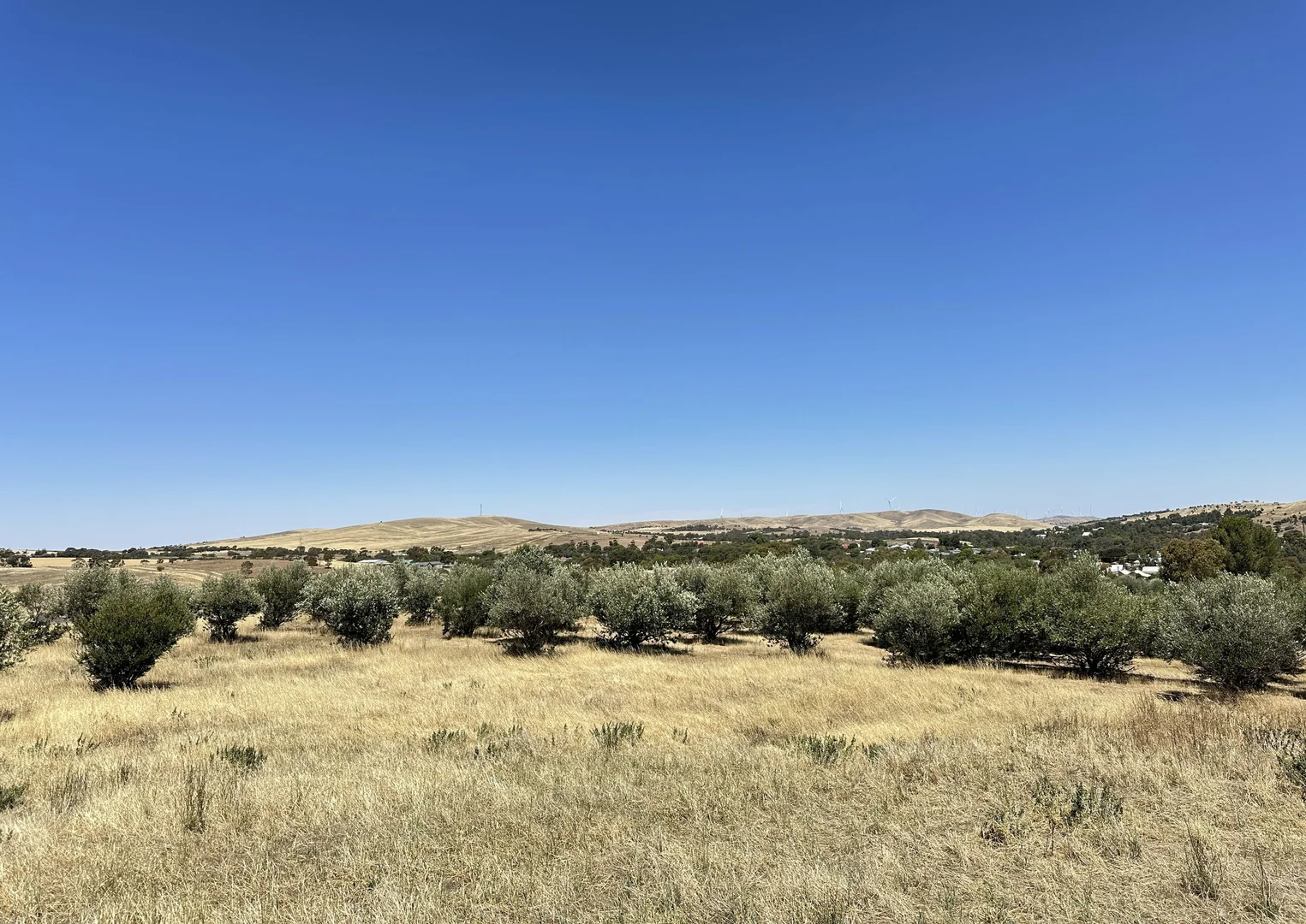 Additional image 3 of Lot 15 West Terrace, Burra SA 5417