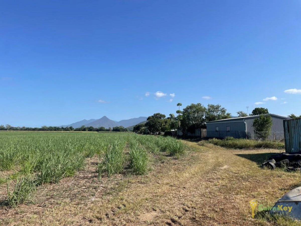 Additional image 6 of 45 Thomson Road, Edmonton QLD 4869