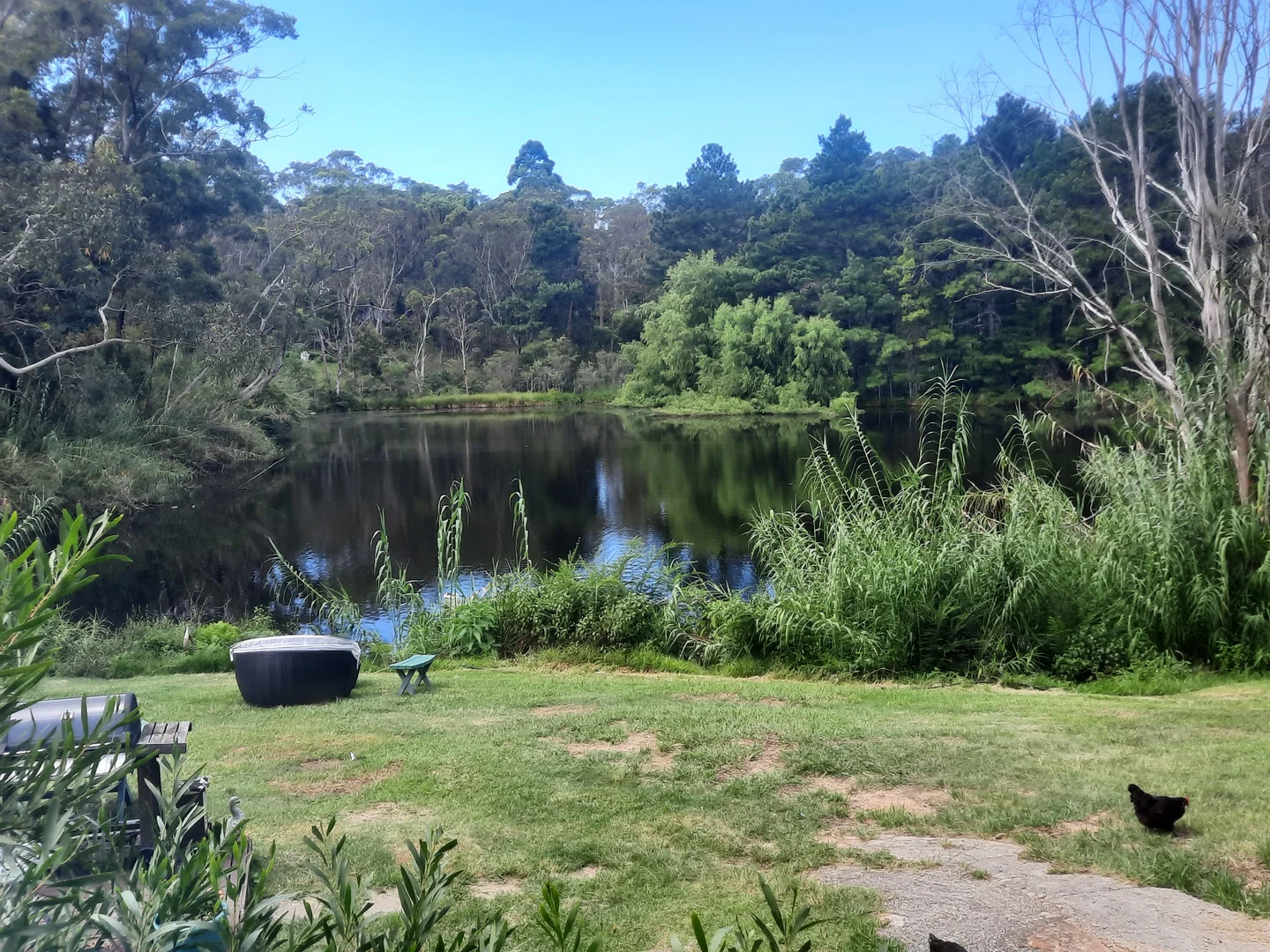 Additional image 12 of 2 Sunnyridge Road, Arcadia NSW 2159