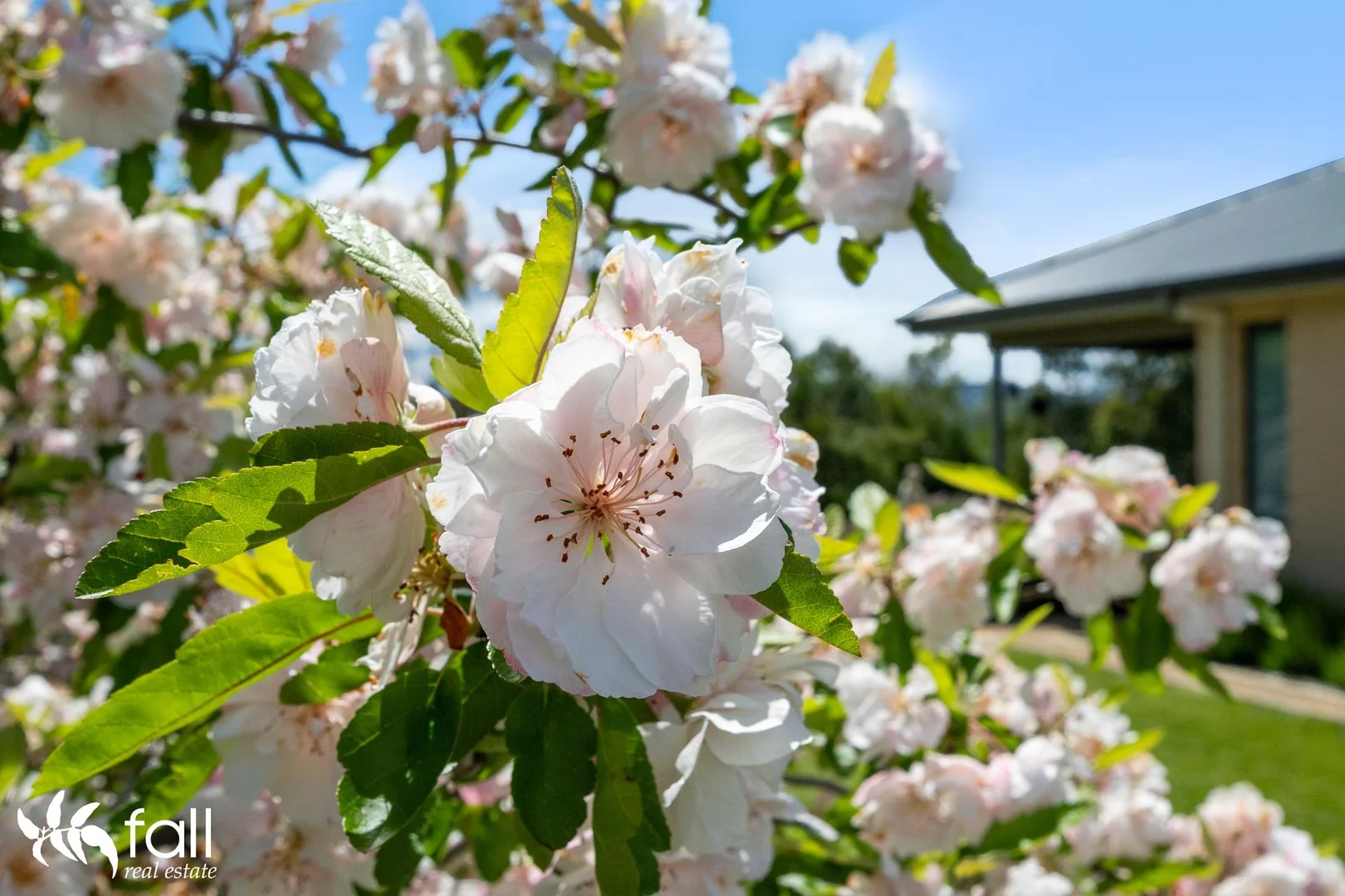 Additional image 22 of 33 Hillview Drive, Margate TAS 7054