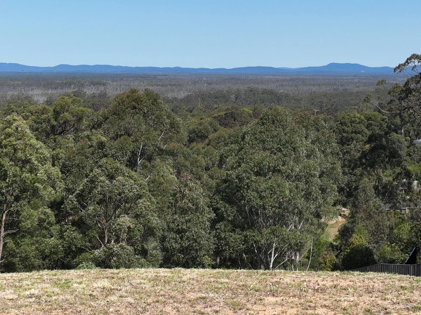 Additional image 9 of 23 Eastern Valley Way, Tallwoods Village NSW 2430