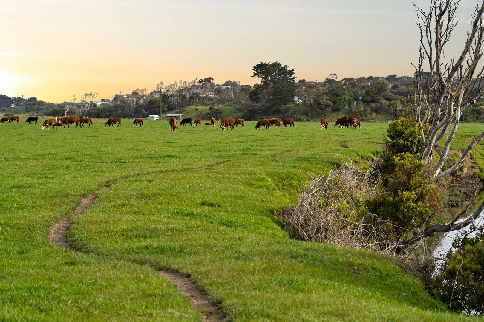 Additional image 10 of 80 Great Ocean Road, Apollo Bay VIC 3233