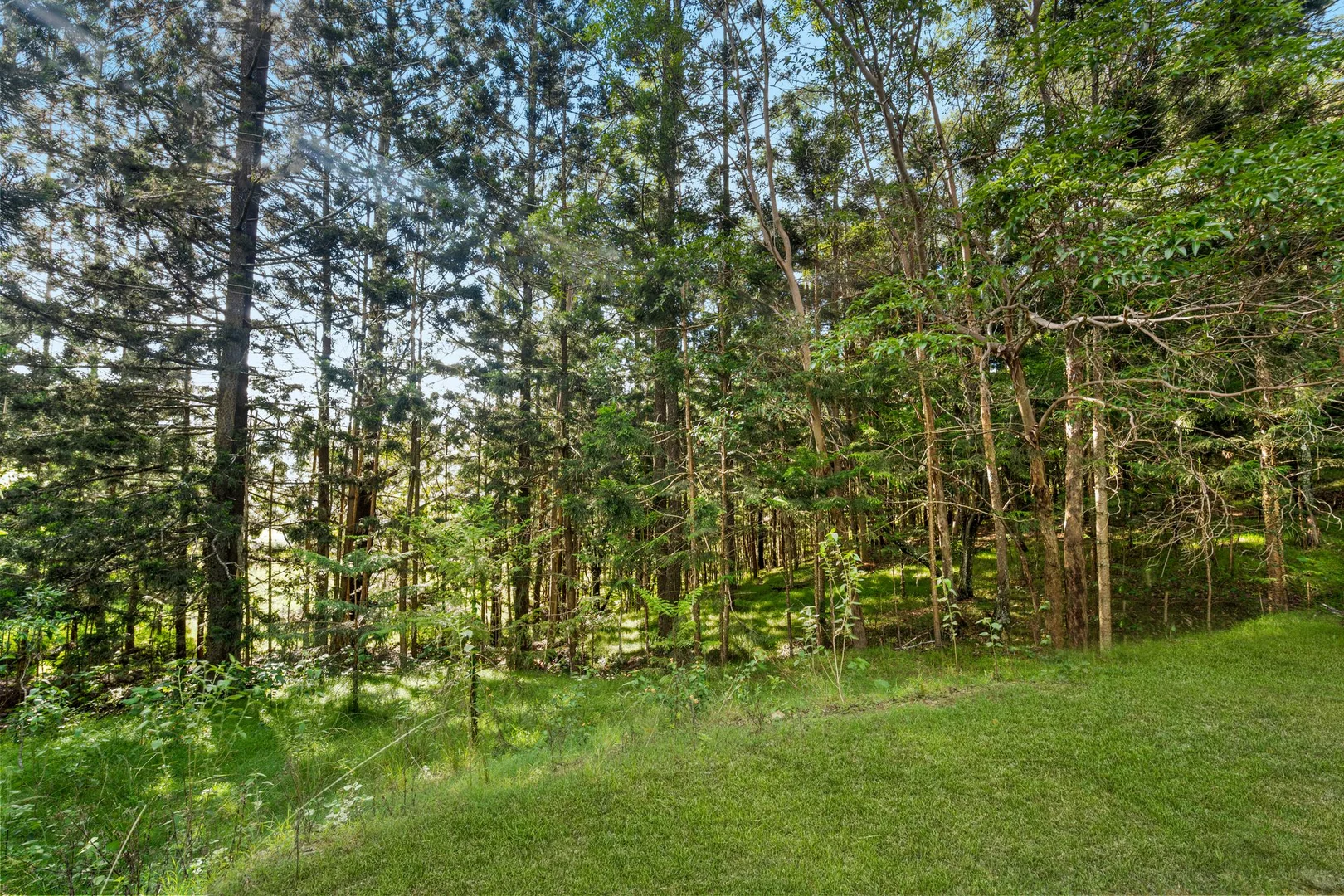 Additional image 23 of 169 Dunns Road, Wolffdene QLD 4207