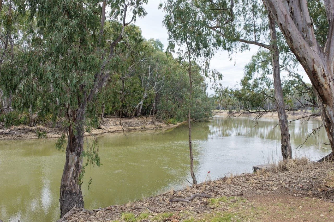 Additional image 2 of 31 ARMSTRONG DRIVE, Barham NSW 2732