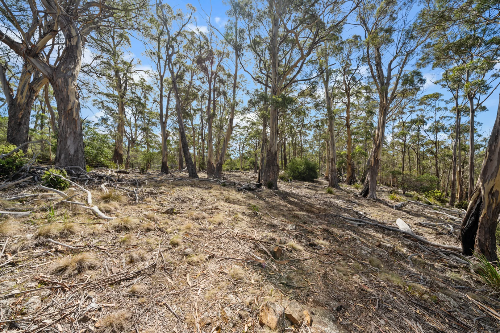 Additional image 29 of 108 Happy Valley Road, Spring Beach TAS 7190