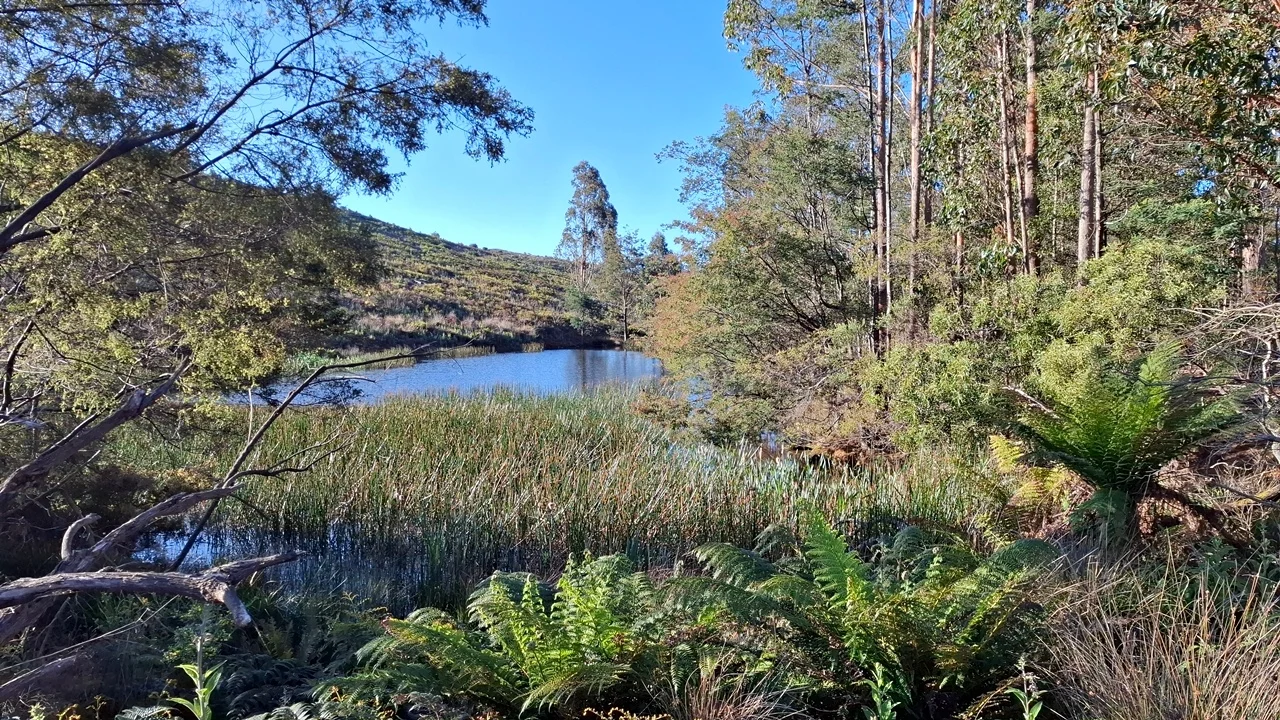 Additional image 21 of 108 Weeks Road, Barrington TAS 7306