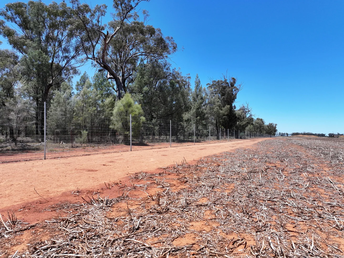 Additional image 7 of "Glen Avon" 99 Davies Lane, Caragabal NSW 2810