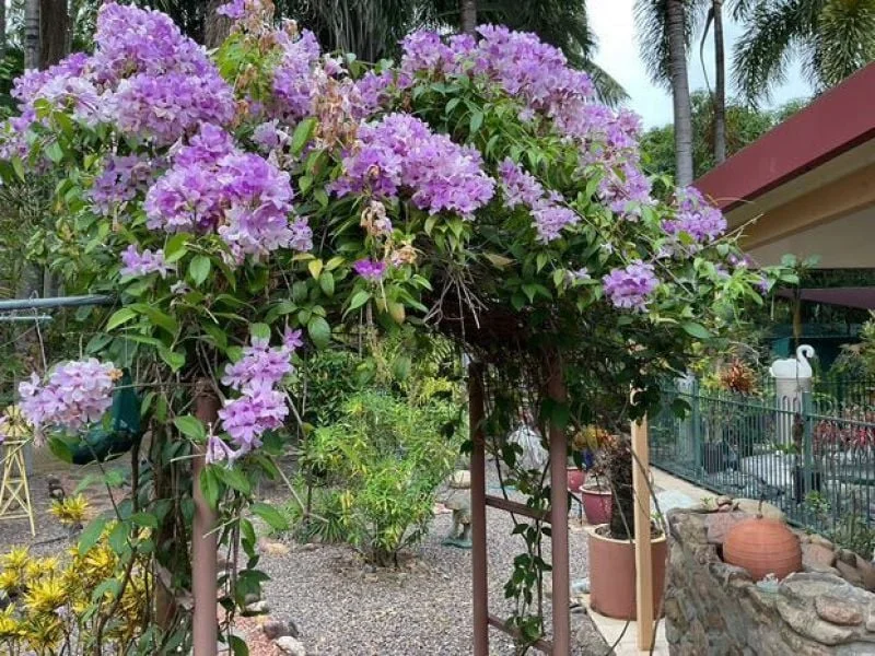 Additional image 28 of 29 Rupertswood Drive, Alice River QLD 4817