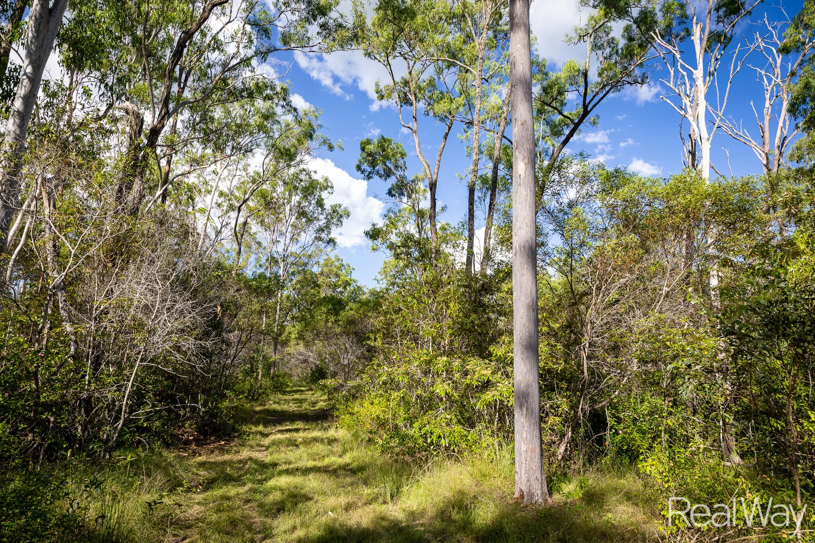 Additional image 17 of 2 Jacksons Road, South Isis QLD 4660