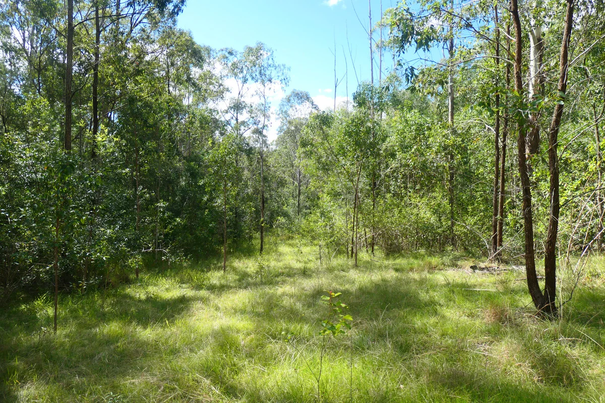 Additional image 9 of 146 Mills Road, Bean Creek NSW 2469