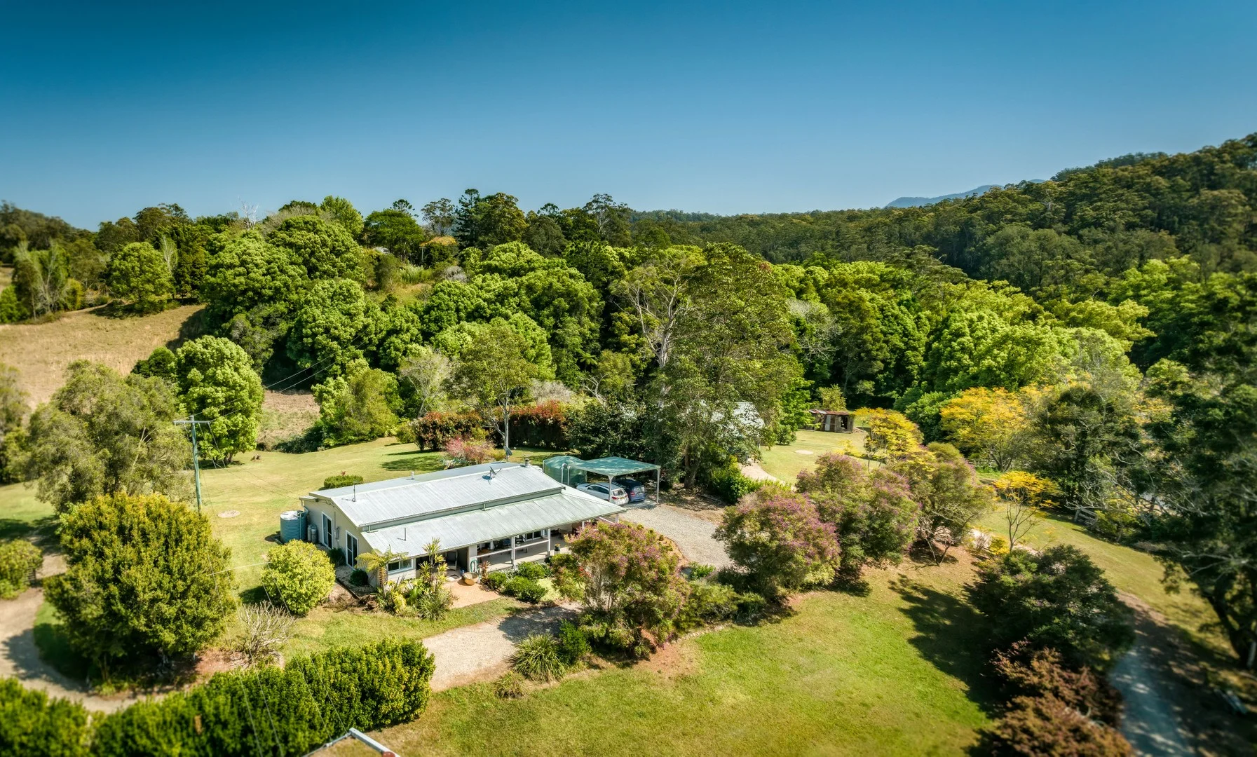 Additional image 4 of 259 Kalang Road, Bellingen NSW 2454