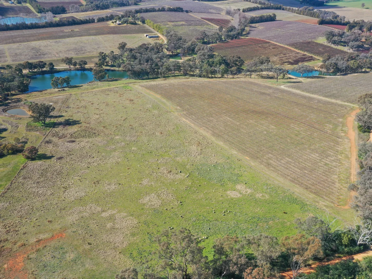 Additional image 17 of 155 Tierneys Road, Young NSW 2594