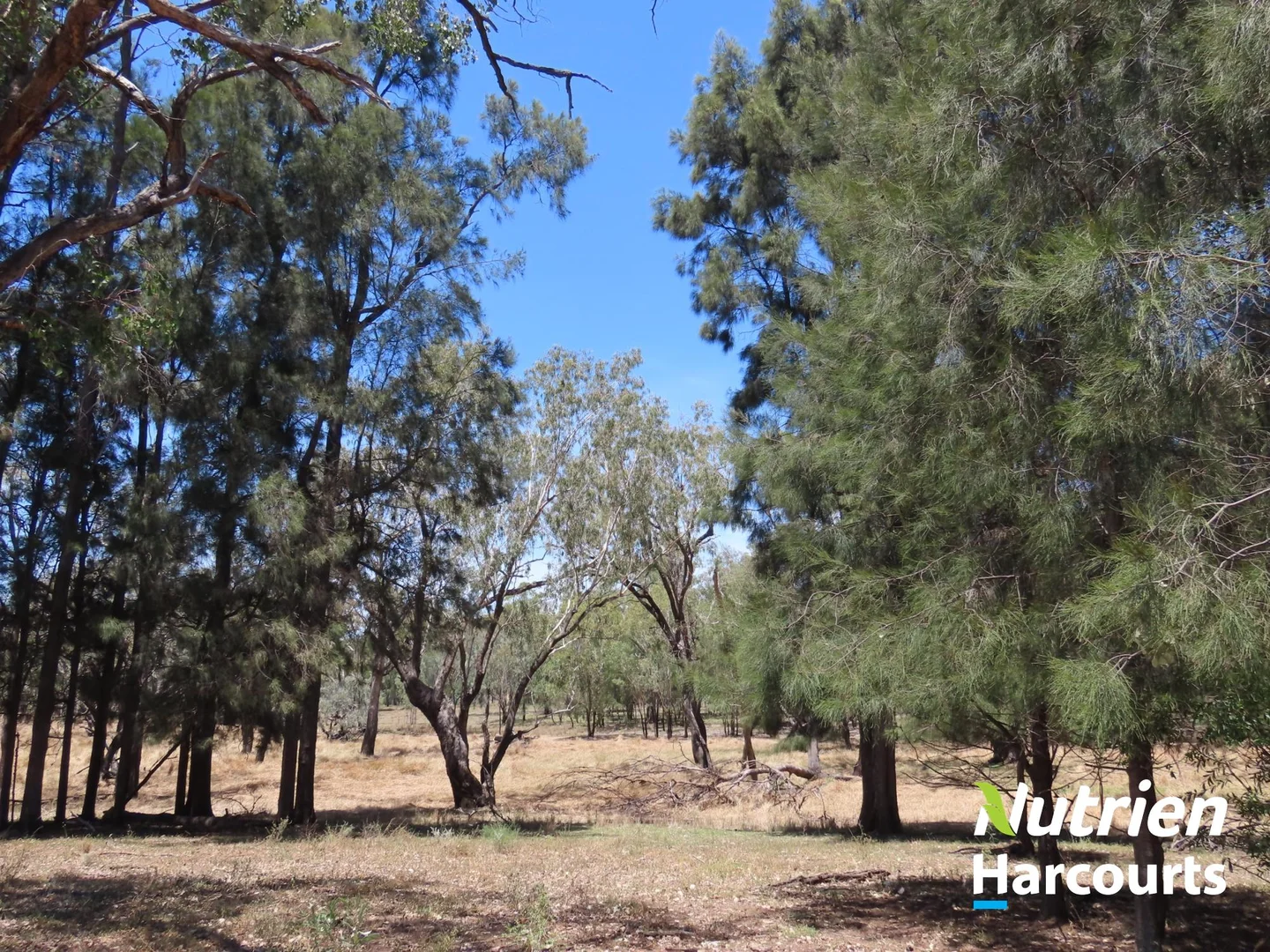 Additional image 30 of 7 Mullers Road, Chinchilla QLD 4413