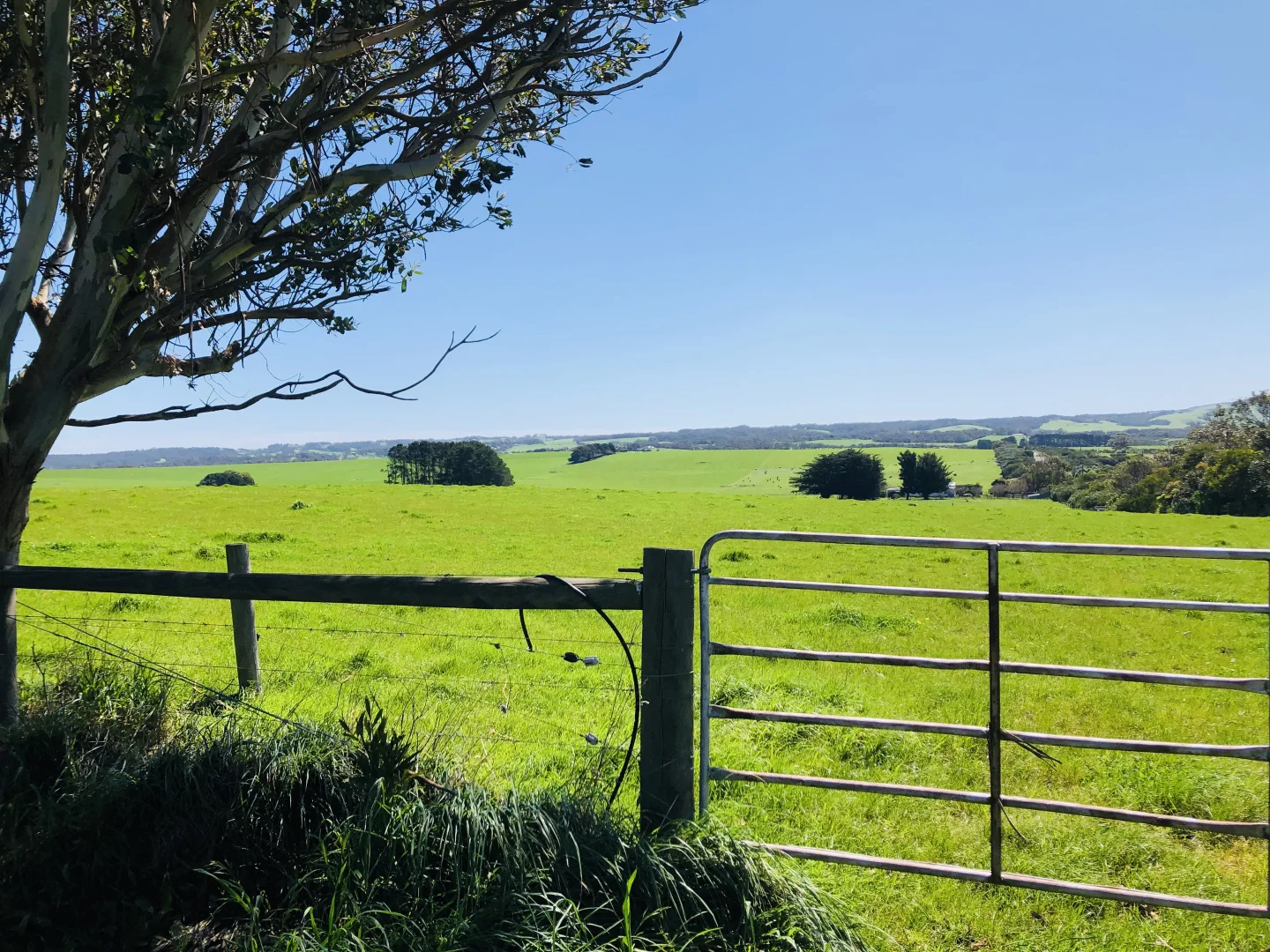 Additional image 21 of 2988 Meeniyan-Prom Rd, Yanakie VIC 3960