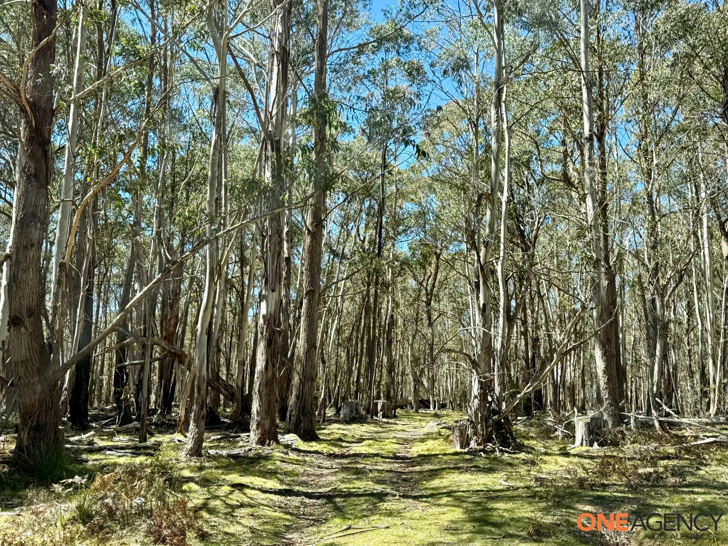 Additional image 7 of Lots 113 & 114 Kydra Firetrail Greenlands Road, Greenlands NSW 2631