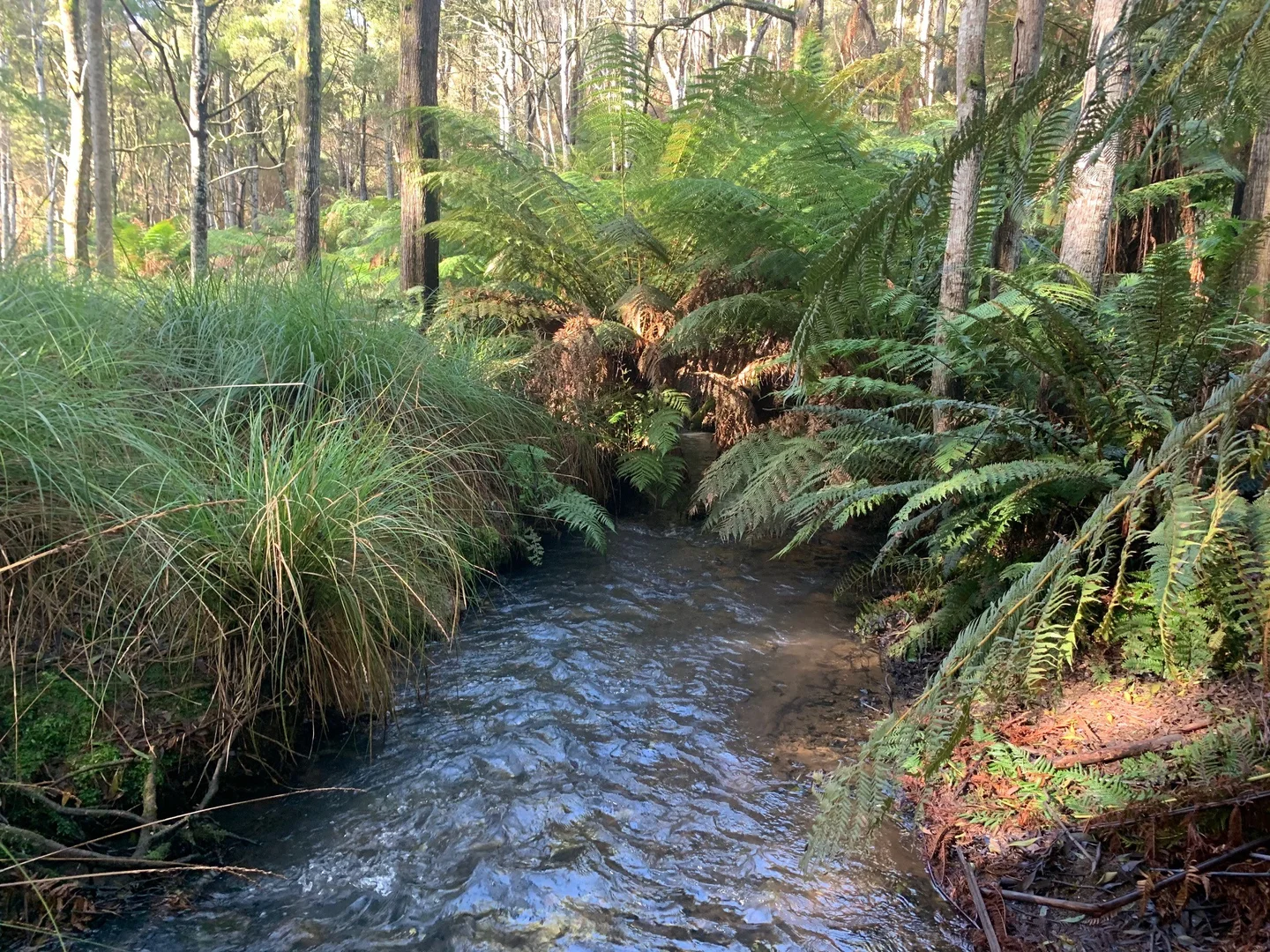 Additional image 2 of Lot 2 Faheys Lane, Irishtown TAS 7330