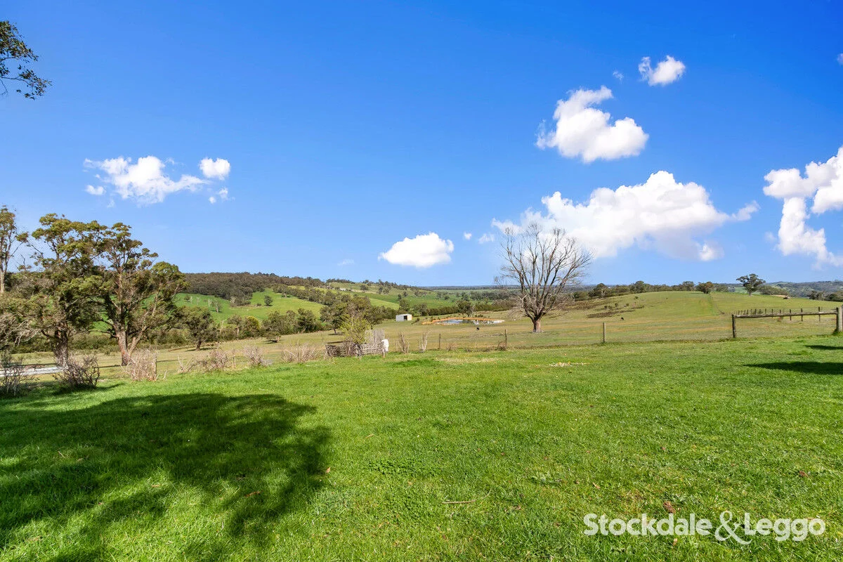 Additional image 28 of 175 Early Road, Tanjil South VIC 3825