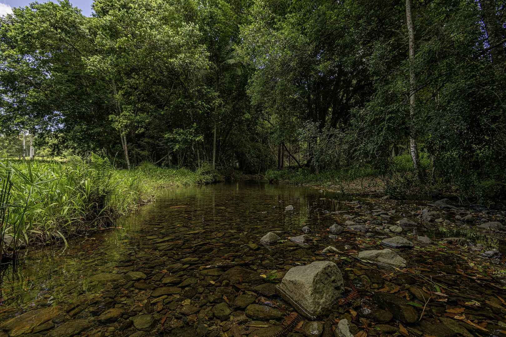 Additional image 50 of 492 River Road, Peachester QLD 4519