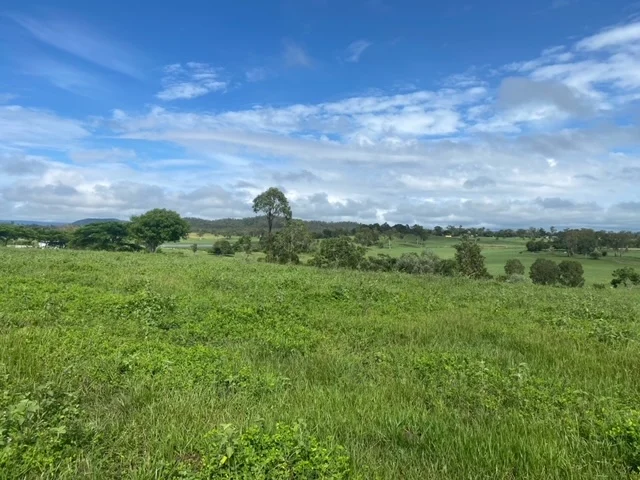 Additional image 4 of 181 Lindeman Drive, Bloomsbury QLD 4799