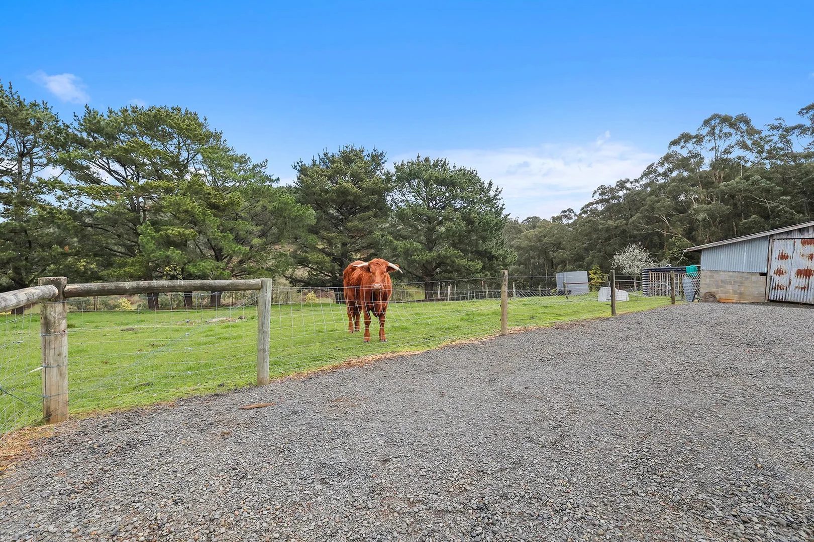 Additional image 17 of 2675 Willow Grove Road, Hill End VIC 3825