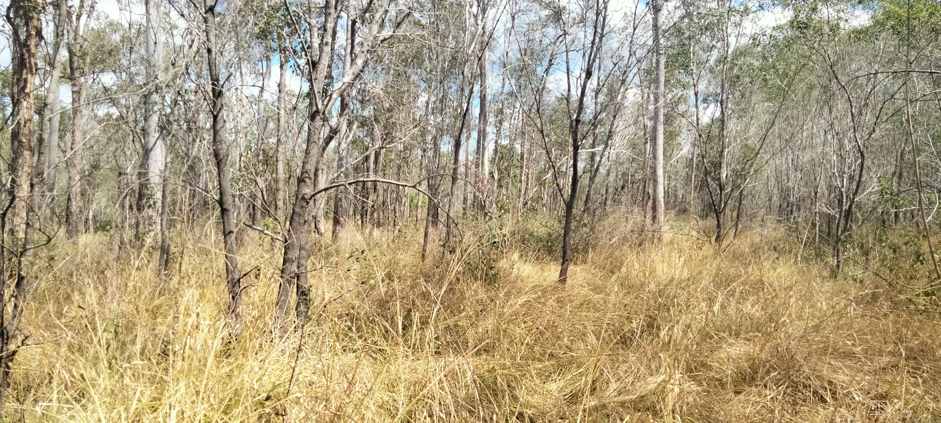 Additional image 35 of 3359 Lowmead Road, Lowmead QLD 4676