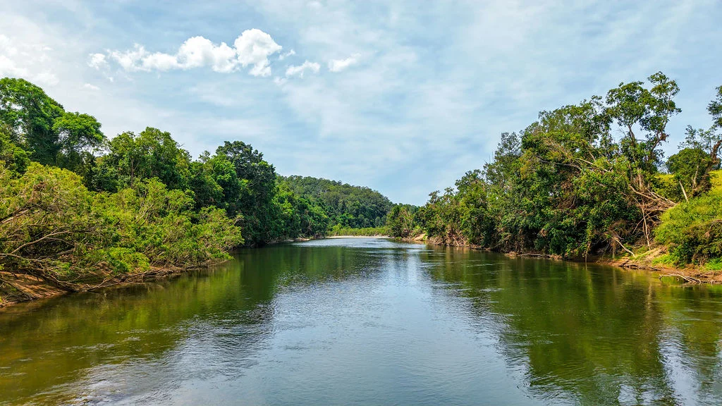 Additional image 4 of 221 Karaak Flat Road, Karaak Flat NSW 2429