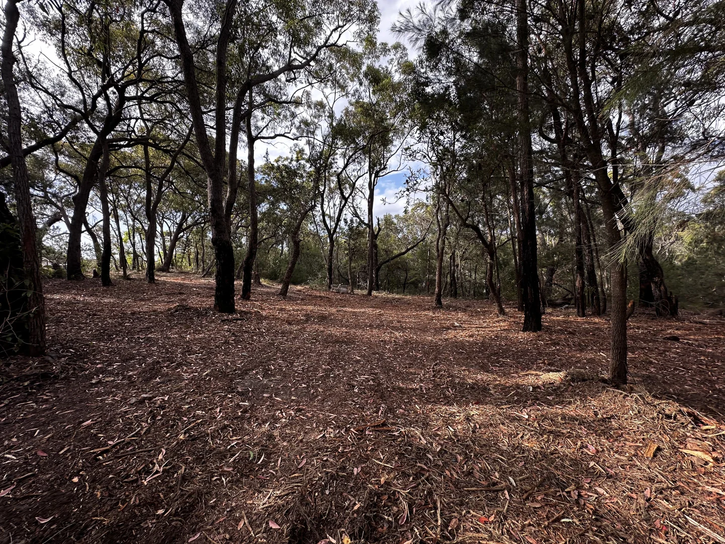 Additional image 6 of 277 Galston Road, Galston NSW 2159