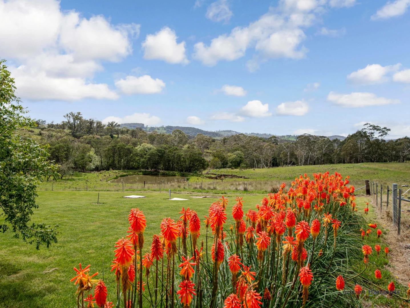 Additional image 5 of 106 Cawthornes Lane, Braidwood NSW 2622