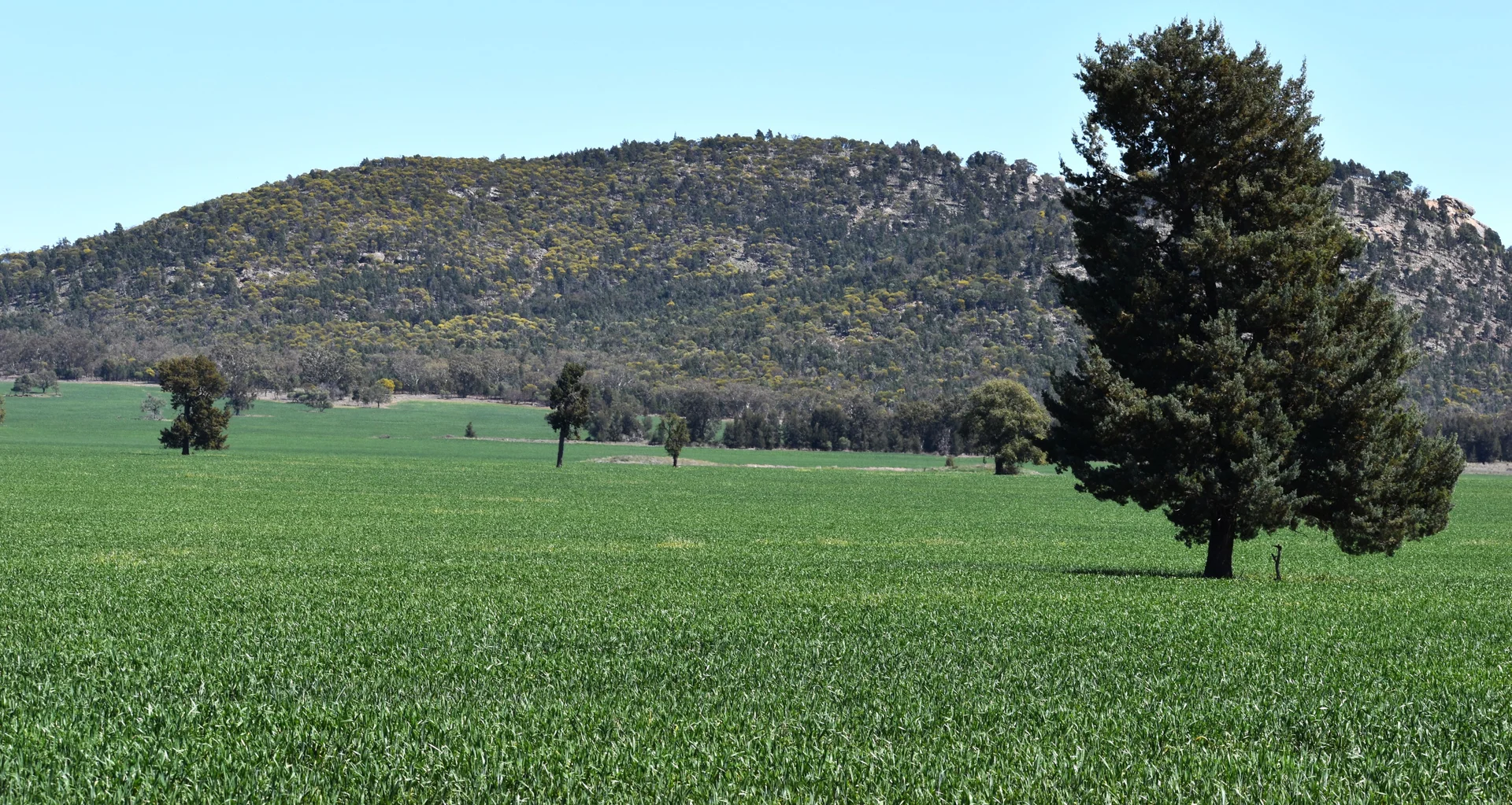 Additional image 13 of 120 Ganantagi Road, Yarrabandai NSW 2875