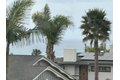Additional image 41 of 934 Candlelight Pl, La Jolla, CA, 92037