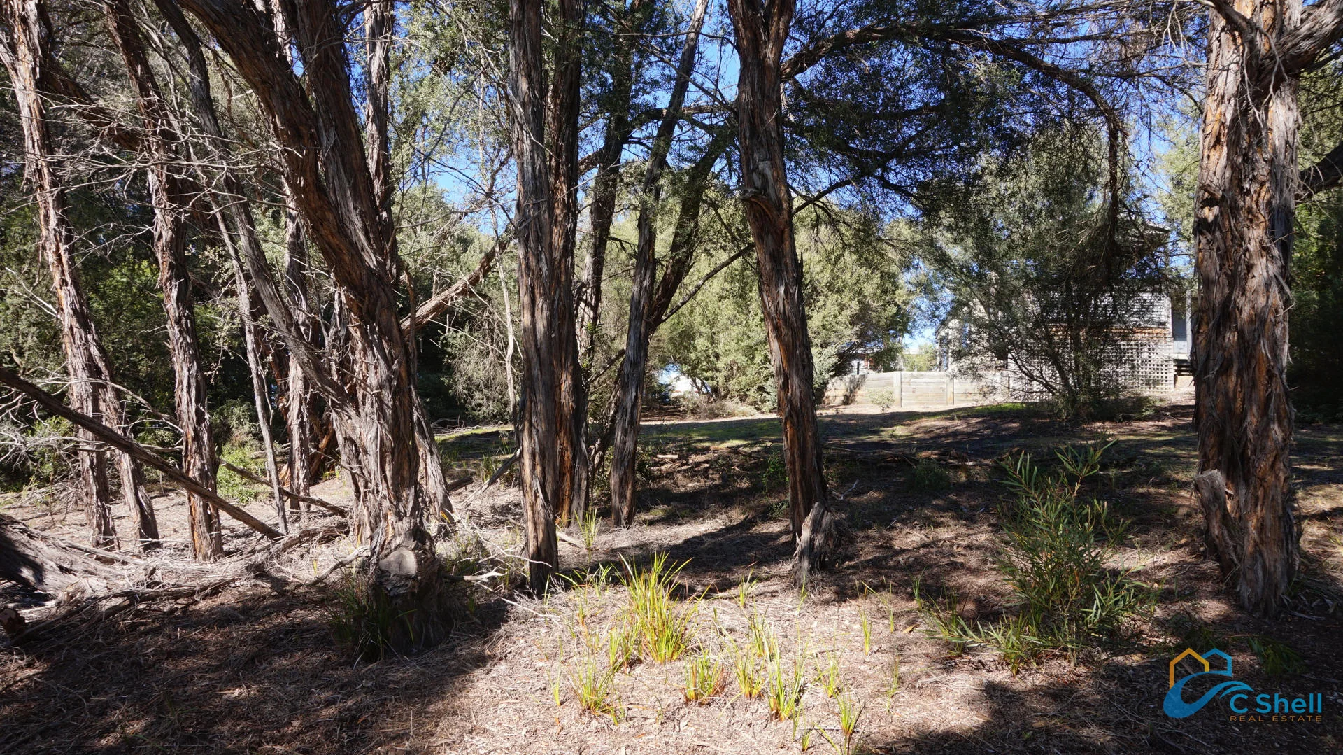 Additional image 7 of 318 National Park Road, Loch Sport VIC 3851