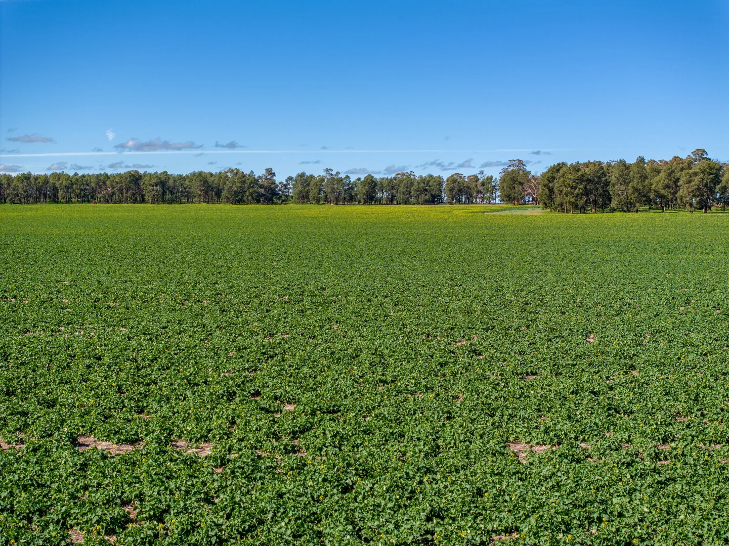 Additional image 10 of 2214 Coolamon Road, Coolamon NSW 2701