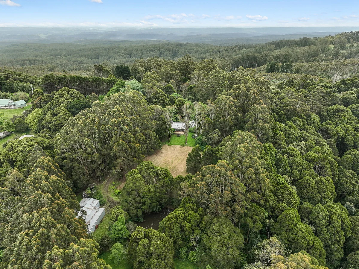 Additional image 19 of 5035 Great Ocean Road, Lavers Hill VIC 3238