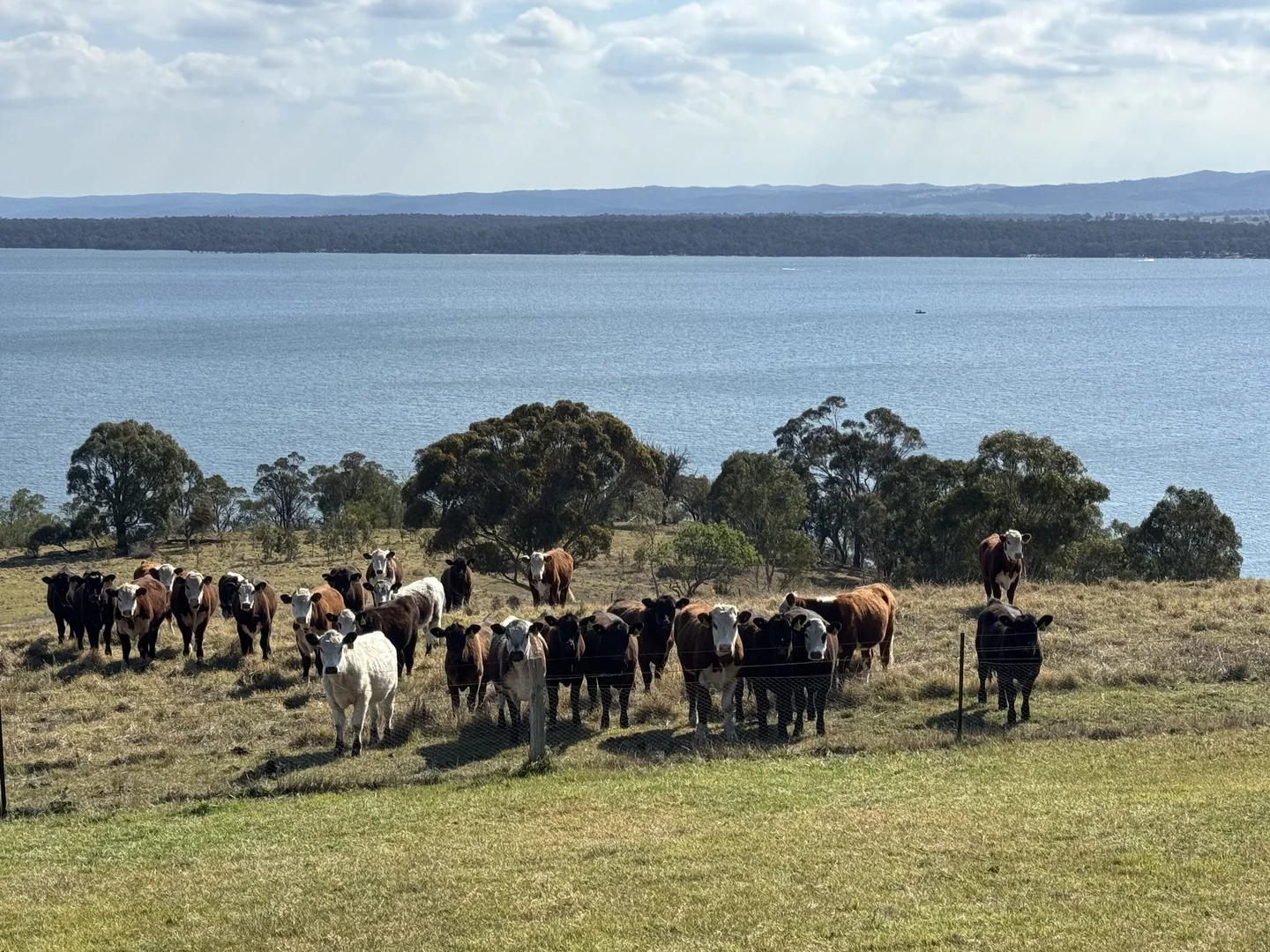 Additional image 24 of 53 Ryans Road, Coongulla VIC 3860