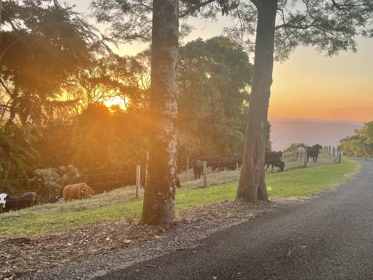 Additional image 6 of 12/27 Skerman Lane, Booroobin QLD 4552