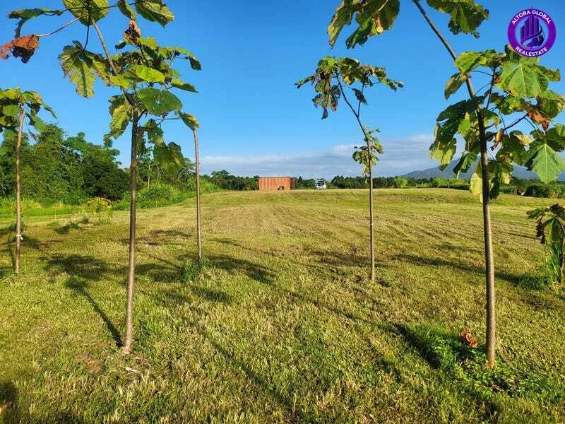 Additional image 7 of 9 Andy Sorbello Road, Silky Oak QLD 4854