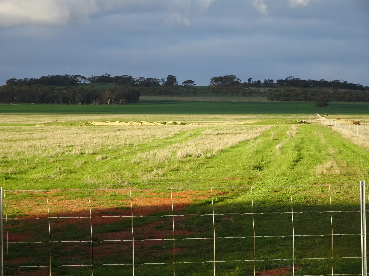 Additional image 2 of Lot 12520 Great Southern Highway, Woodanilling WA 6316