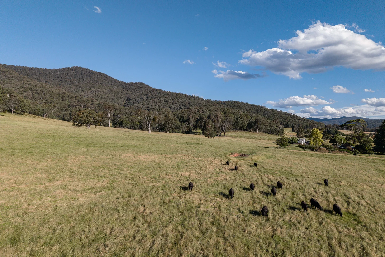 Additional image 6 of 495 Kancoona South Road, Kancoona VIC 3691