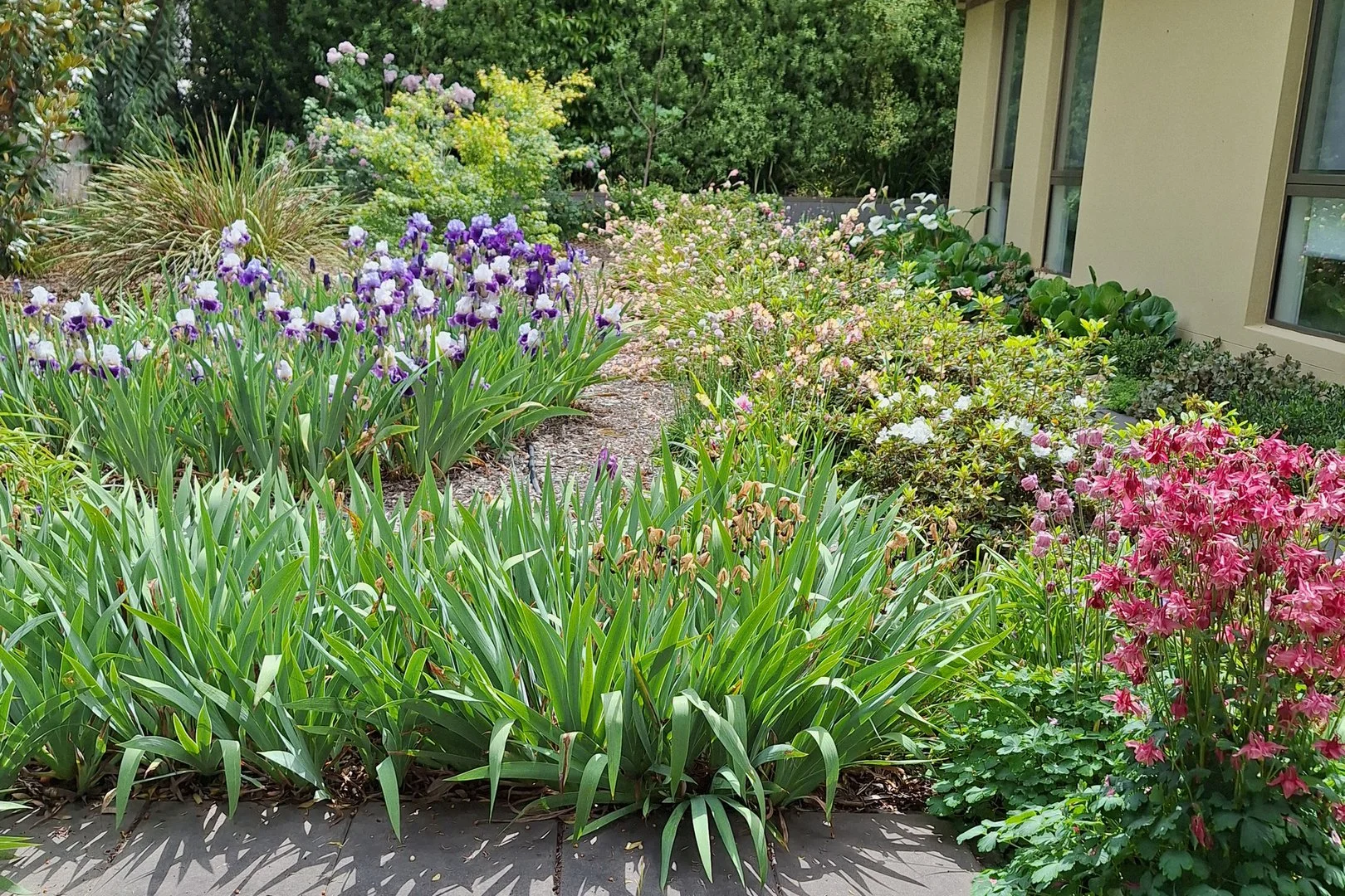 Additional image 21 of 59 Boobialla Street, O'Connor ACT 2602