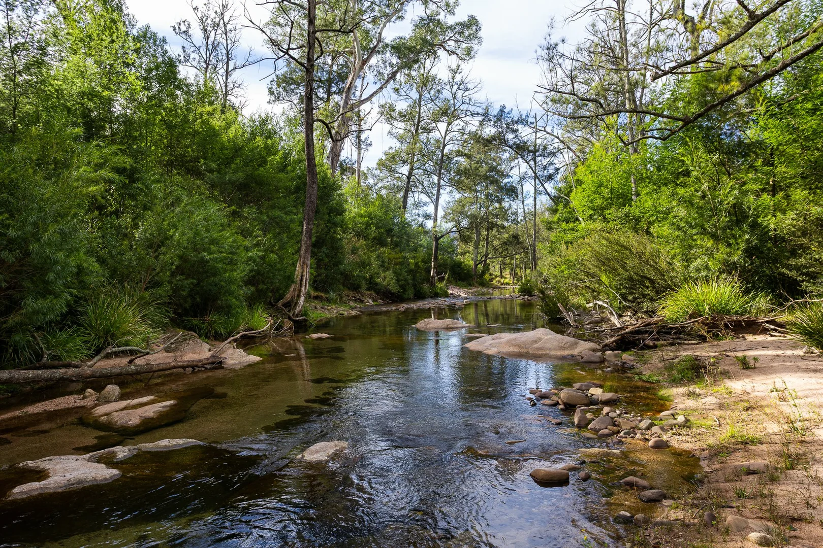 Additional image 6 of Lot 63 Watts Road, Cobargo NSW 2550