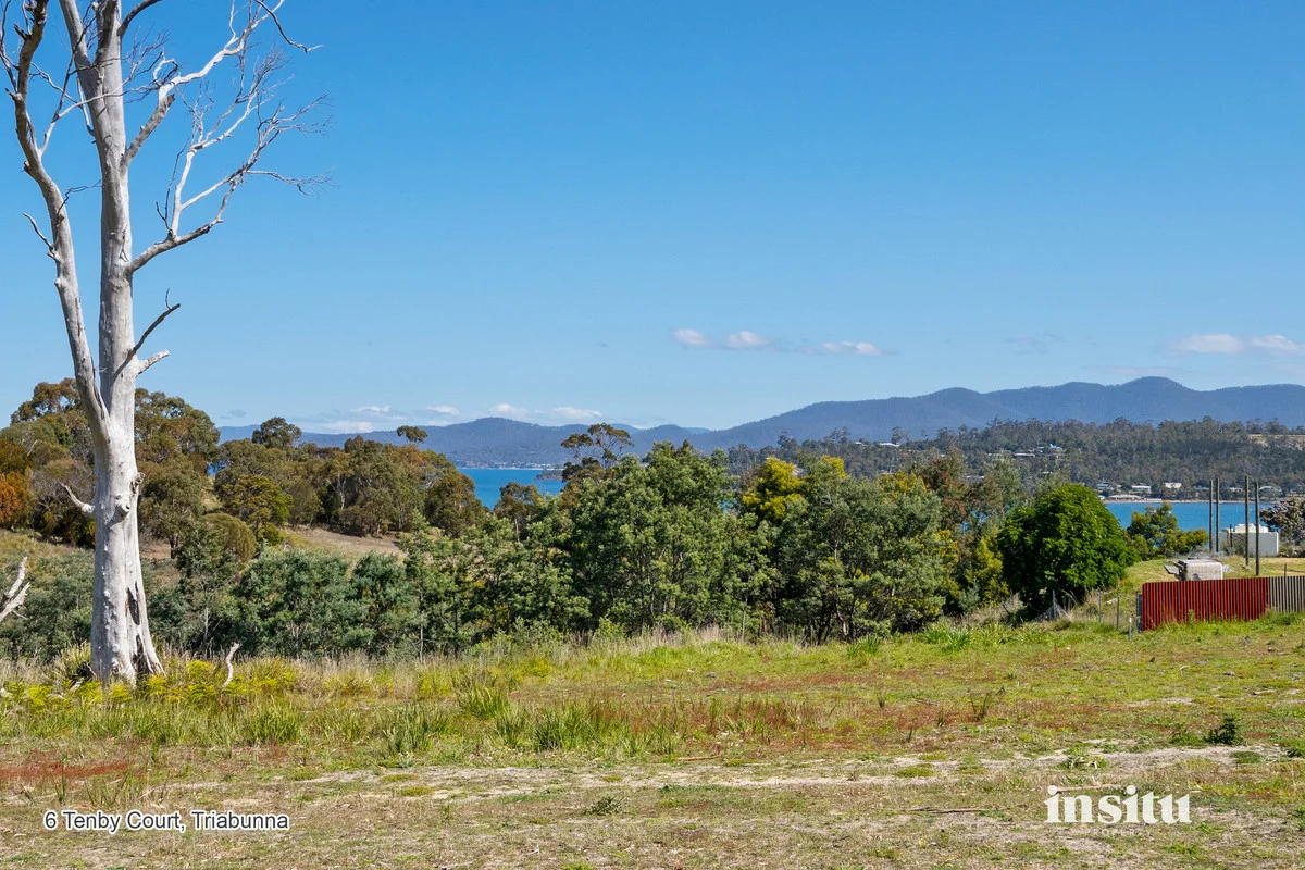 Additional image 6 of Tenby Court, Triabunna TAS 7190