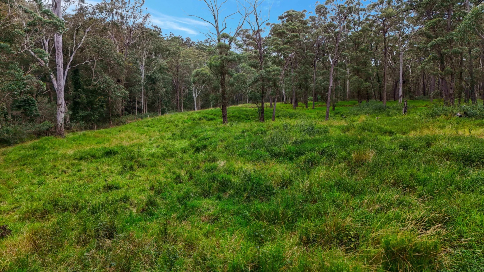 Additional image 49 of Lot 83 Chester Road, Wondecla QLD 4887