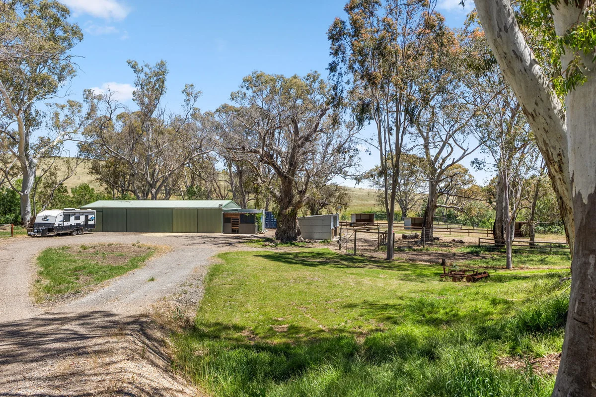 Additional image 7 of 156 Woodlands Road, Cockatoo Valley SA 5351