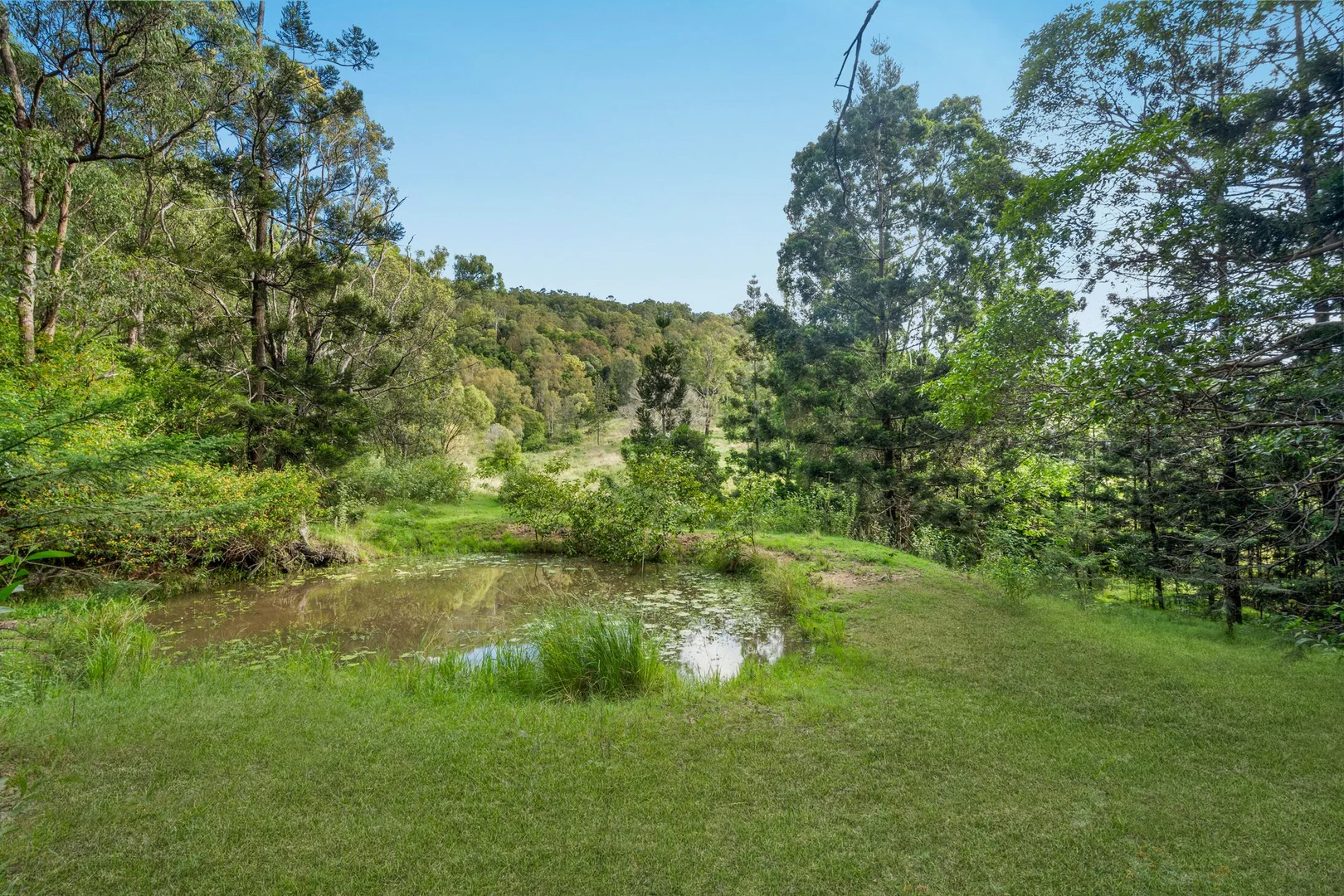 Additional image 24 of 169 Dunns Road, Wolffdene QLD 4207